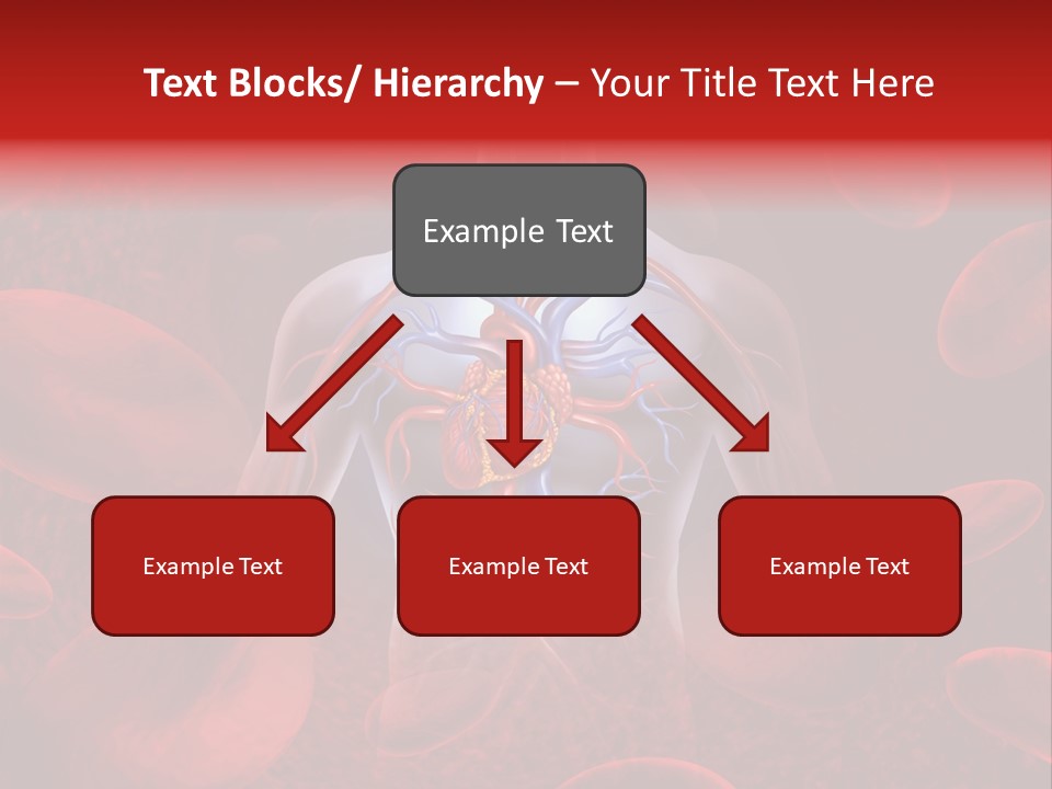 Chambers Cava Health PowerPoint Template