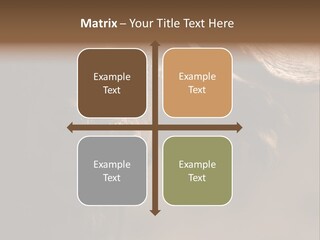 Big Close Conservation PowerPoint Template