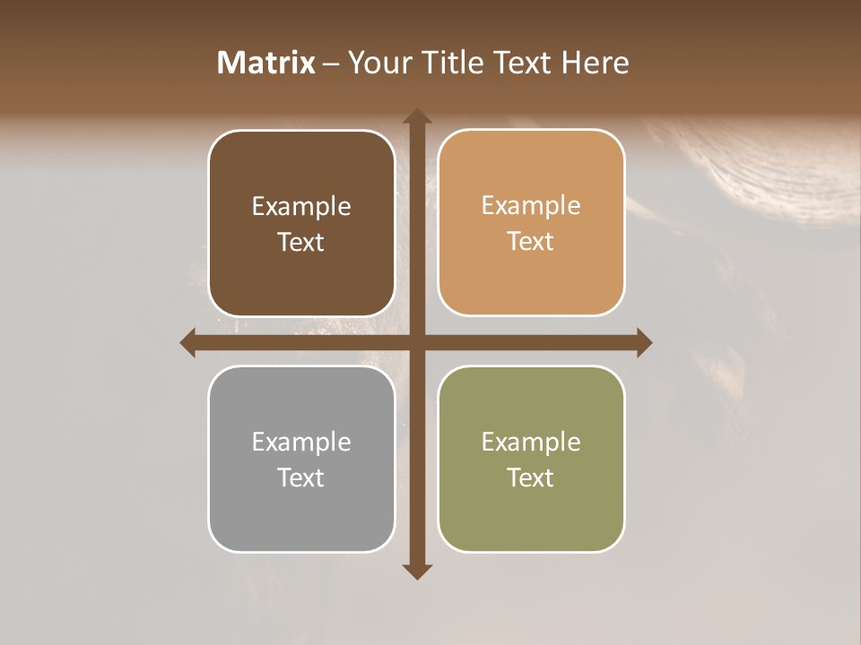 Big Close Conservation PowerPoint Template