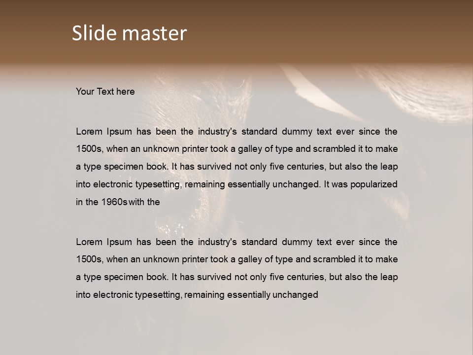 Big Close Conservation PowerPoint Template