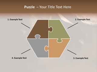 Big Close Conservation PowerPoint Template