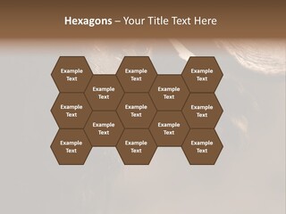 Big Close Conservation PowerPoint Template