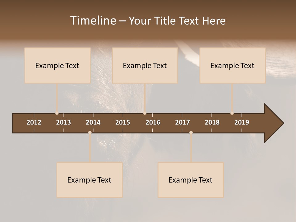 Big Close Conservation PowerPoint Template