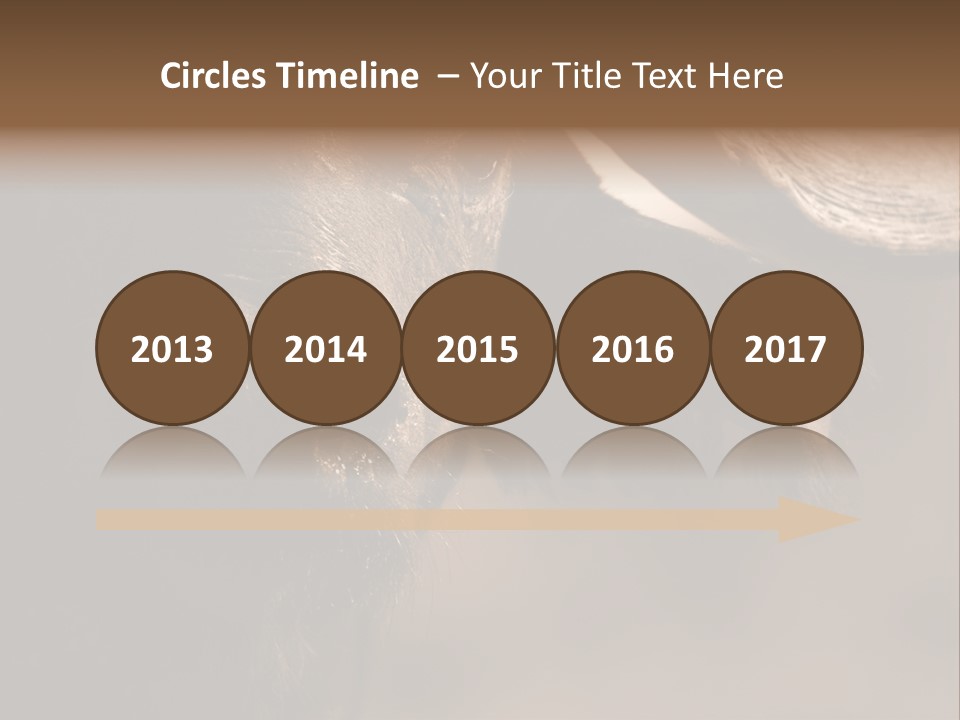 Big Close Conservation PowerPoint Template
