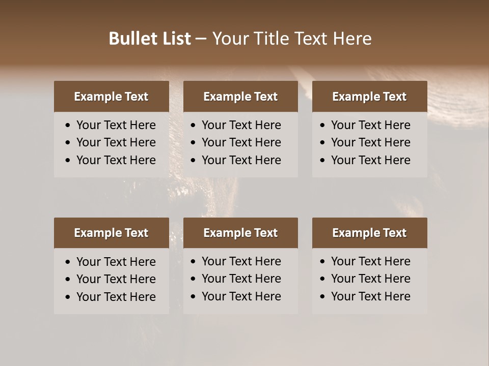 Big Close Conservation PowerPoint Template