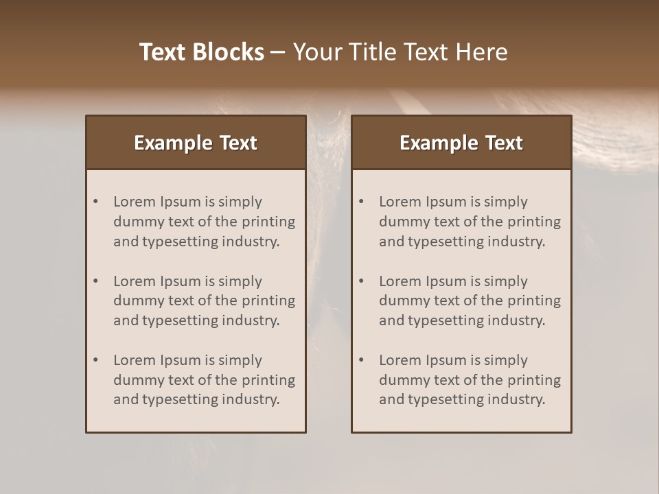 Big Close Conservation PowerPoint Template