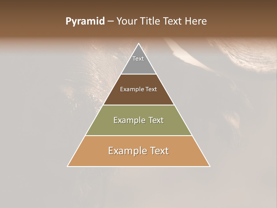 Big Close Conservation PowerPoint Template