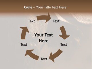 Big Close Conservation PowerPoint Template