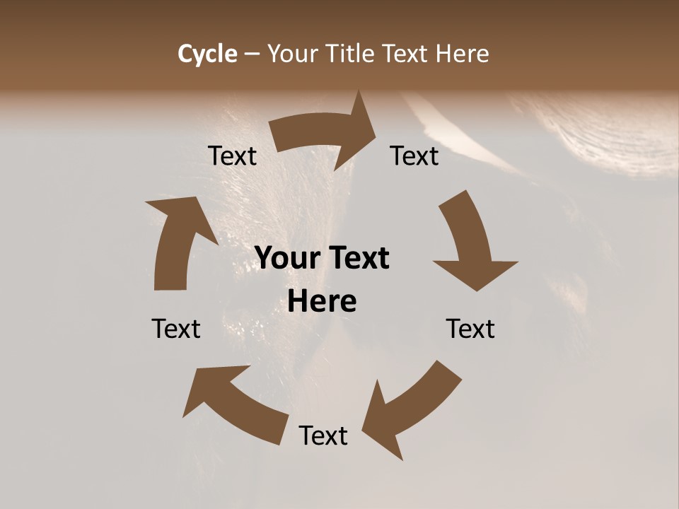 Big Close Conservation PowerPoint Template