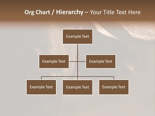 Big Close Conservation PowerPoint Template