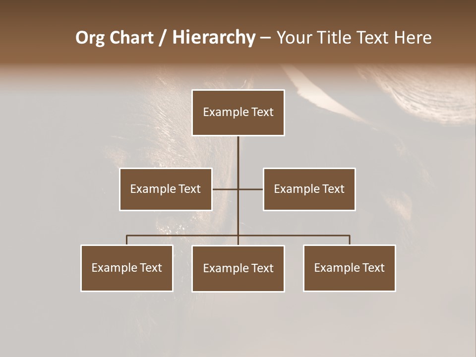 Big Close Conservation PowerPoint Template