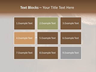 Big Close Conservation PowerPoint Template