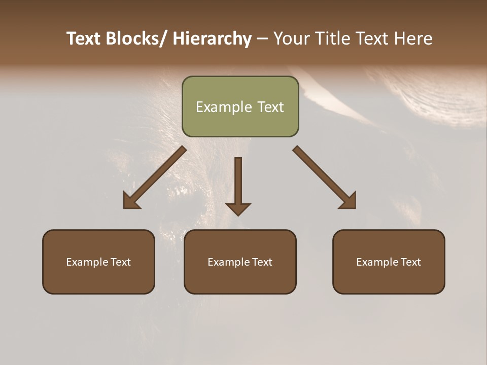 Big Close Conservation PowerPoint Template