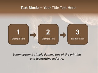 Big Close Conservation PowerPoint Template