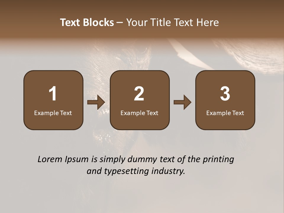 Big Close Conservation PowerPoint Template