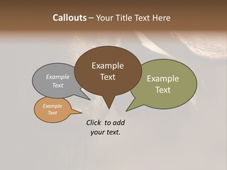 Big Close Conservation PowerPoint Template