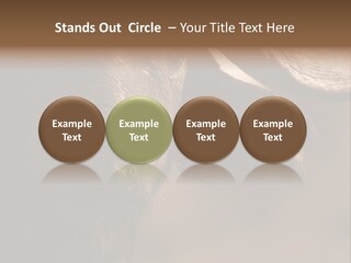 Big Close Conservation PowerPoint Template