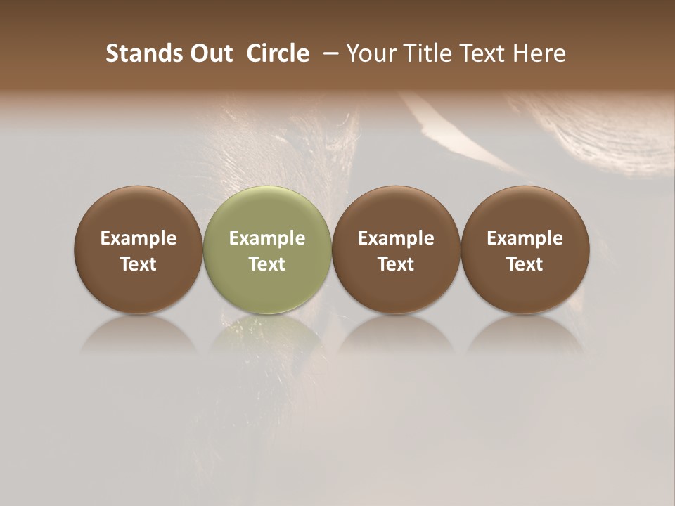 Big Close Conservation PowerPoint Template