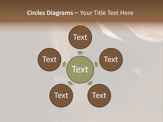 Big Close Conservation PowerPoint Template