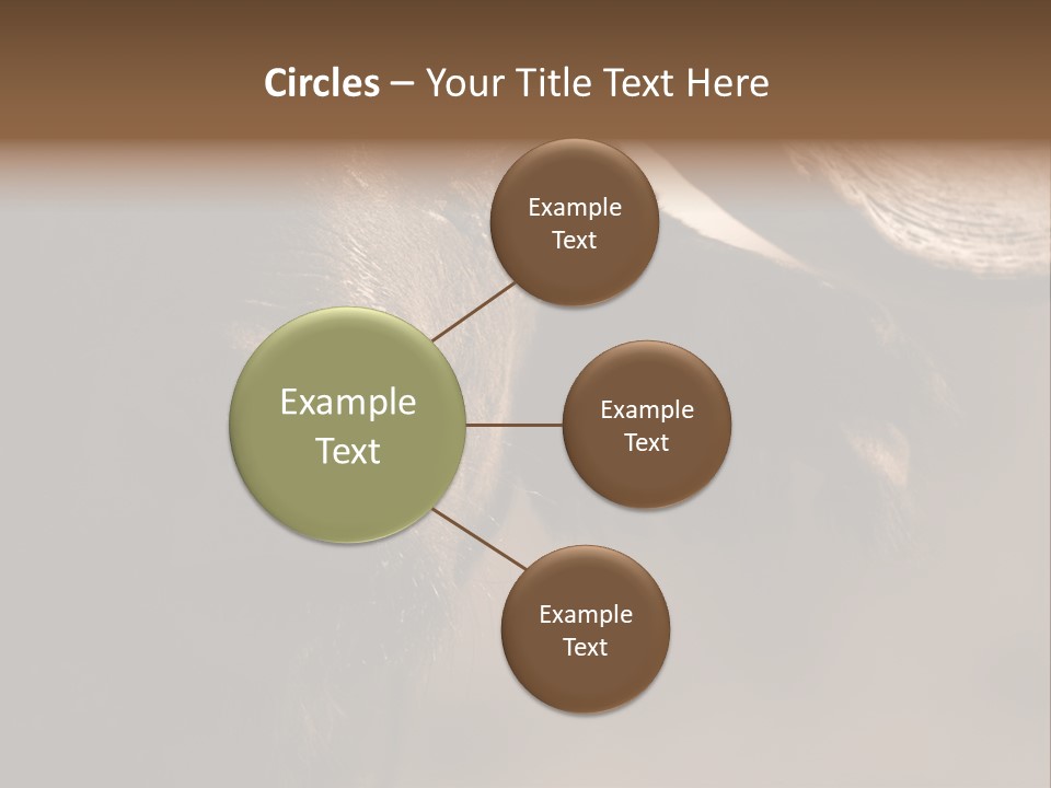 Big Close Conservation PowerPoint Template
