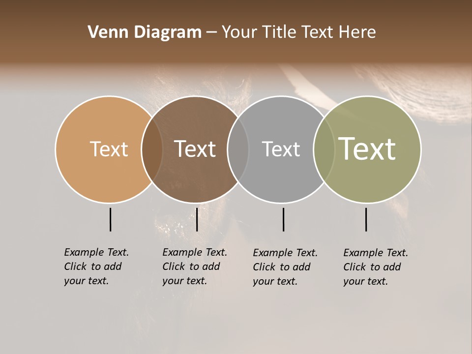 Big Close Conservation PowerPoint Template
