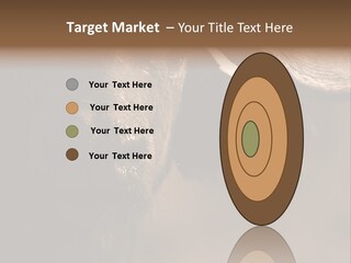 Big Close Conservation PowerPoint Template