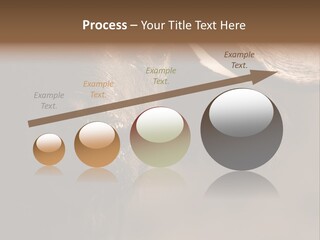 Big Close Conservation PowerPoint Template