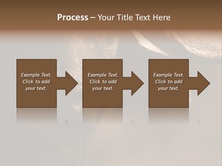 Big Close Conservation PowerPoint Template