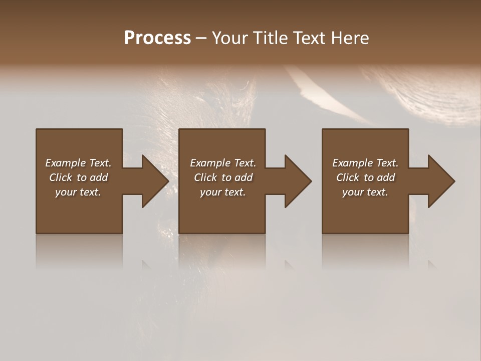 Big Close Conservation PowerPoint Template