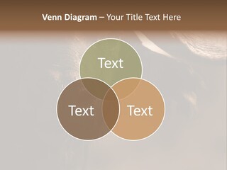 Big Close Conservation PowerPoint Template