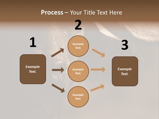 Big Close Conservation PowerPoint Template