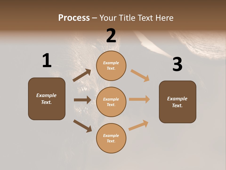 Big Close Conservation PowerPoint Template