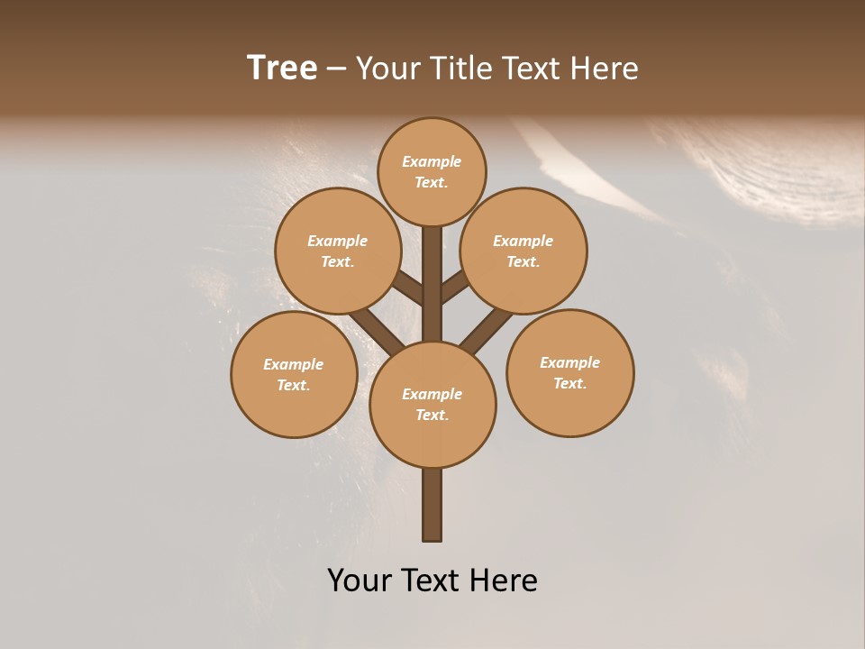 Big Close Conservation PowerPoint Template