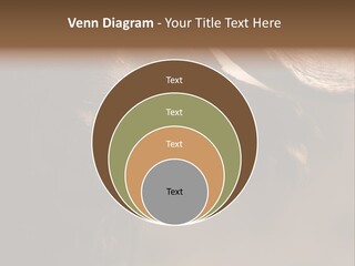 Big Close Conservation PowerPoint Template