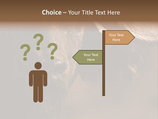 Big Close Conservation PowerPoint Template