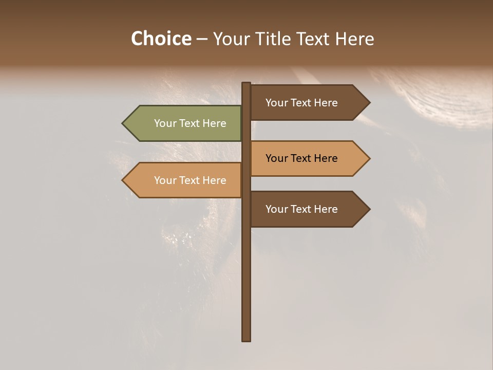 Big Close Conservation PowerPoint Template