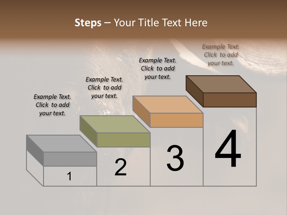 Big Close Conservation PowerPoint Template