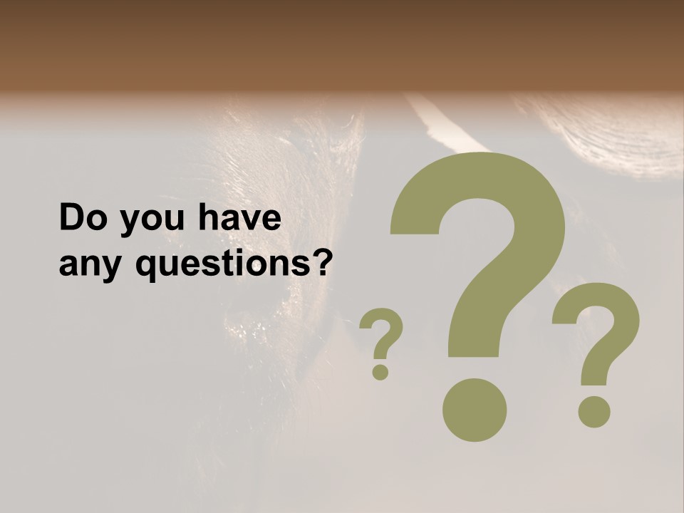 Big Close Conservation PowerPoint Template