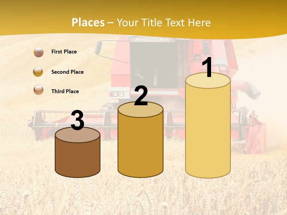 Season Rye Growth PowerPoint Template