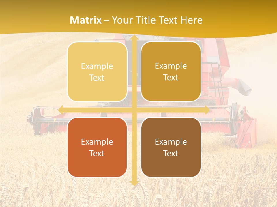 Season Rye Growth PowerPoint Template