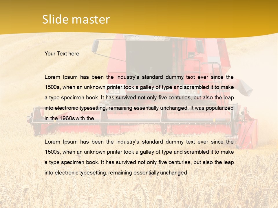 Season Rye Growth PowerPoint Template