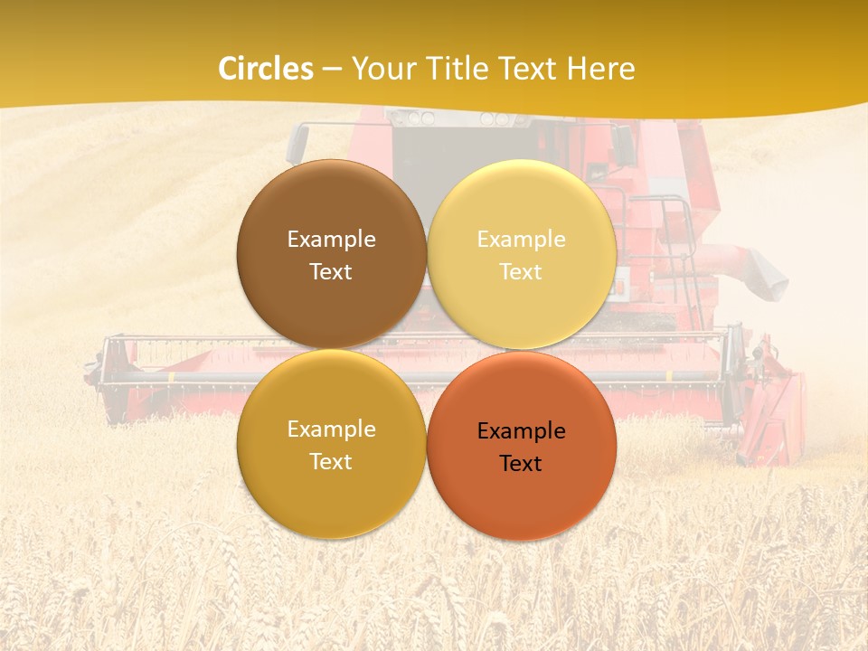 Season Rye Growth PowerPoint Template