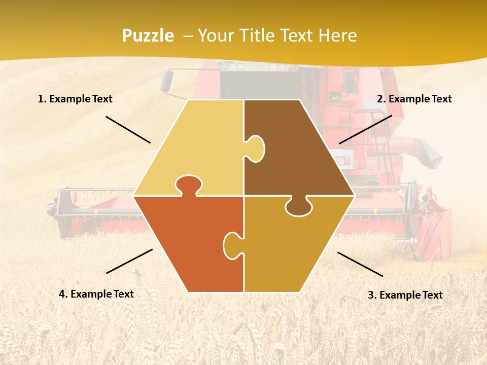 Season Rye Growth PowerPoint Template