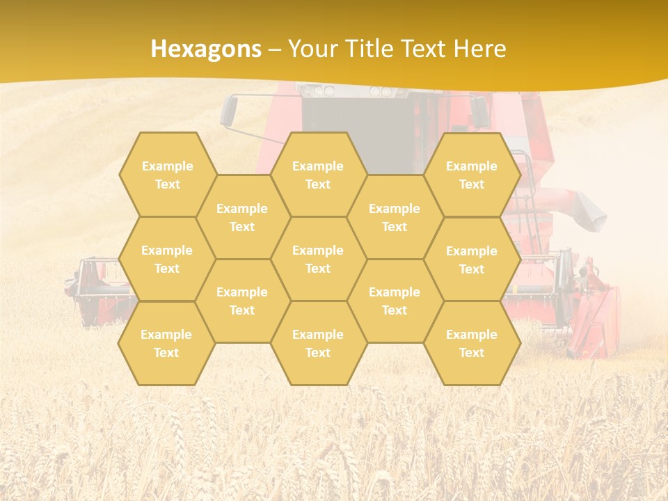 Season Rye Growth PowerPoint Template