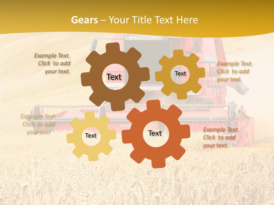 Season Rye Growth PowerPoint Template