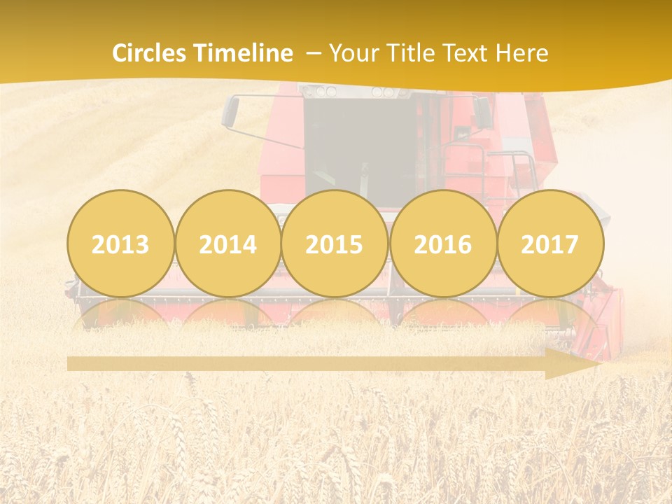 Season Rye Growth PowerPoint Template