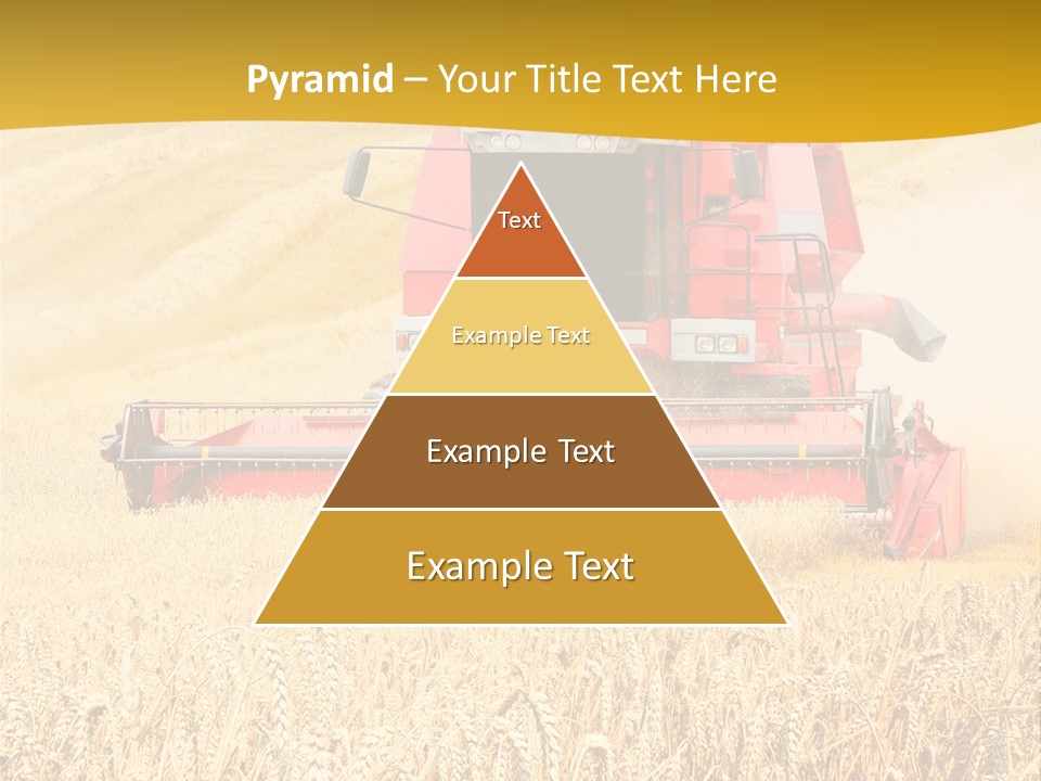 Season Rye Growth PowerPoint Template