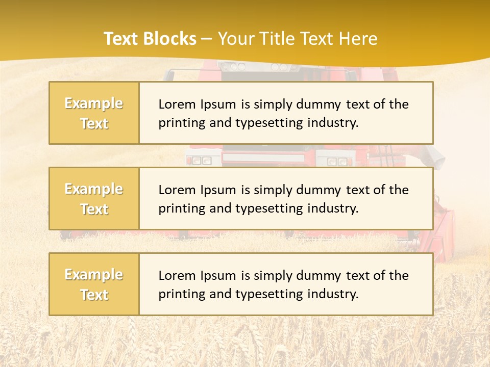 Season Rye Growth PowerPoint Template