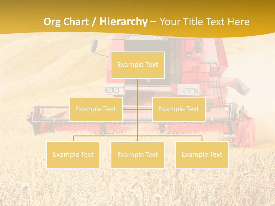 Season Rye Growth PowerPoint Template