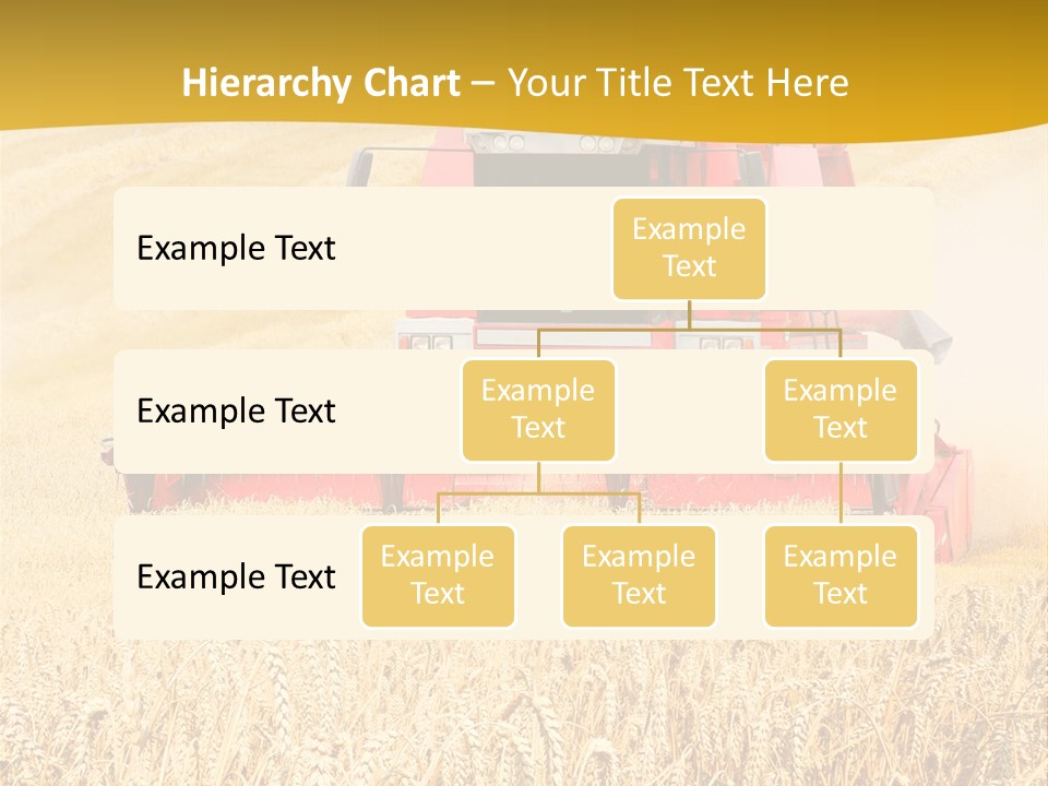 Season Rye Growth PowerPoint Template
